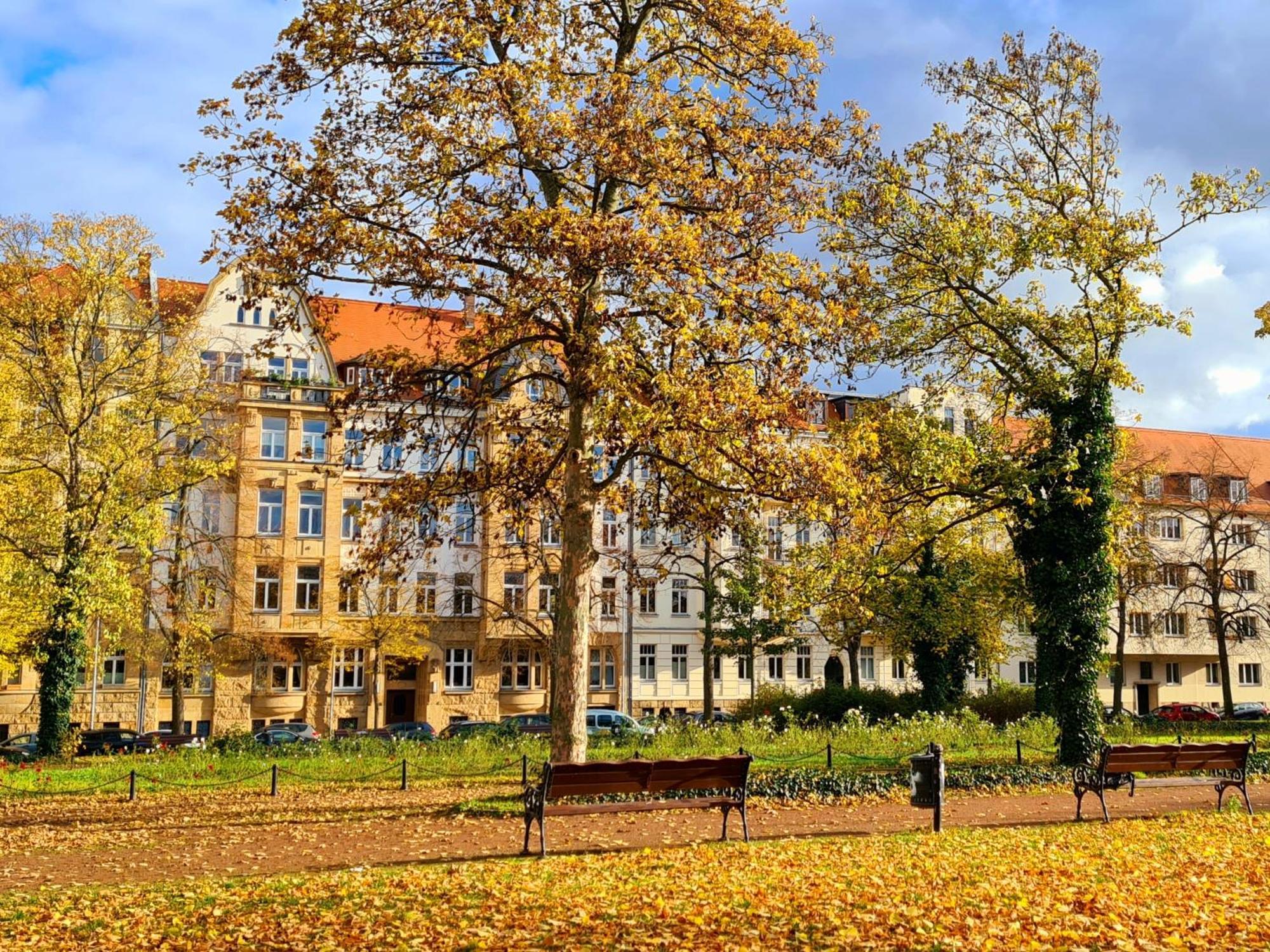 Apartmán Kleinod Am Park - Zentrum-Suedost Lipsko Exteriér fotografie